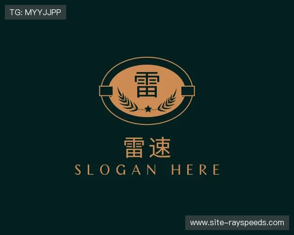 介绍雷速